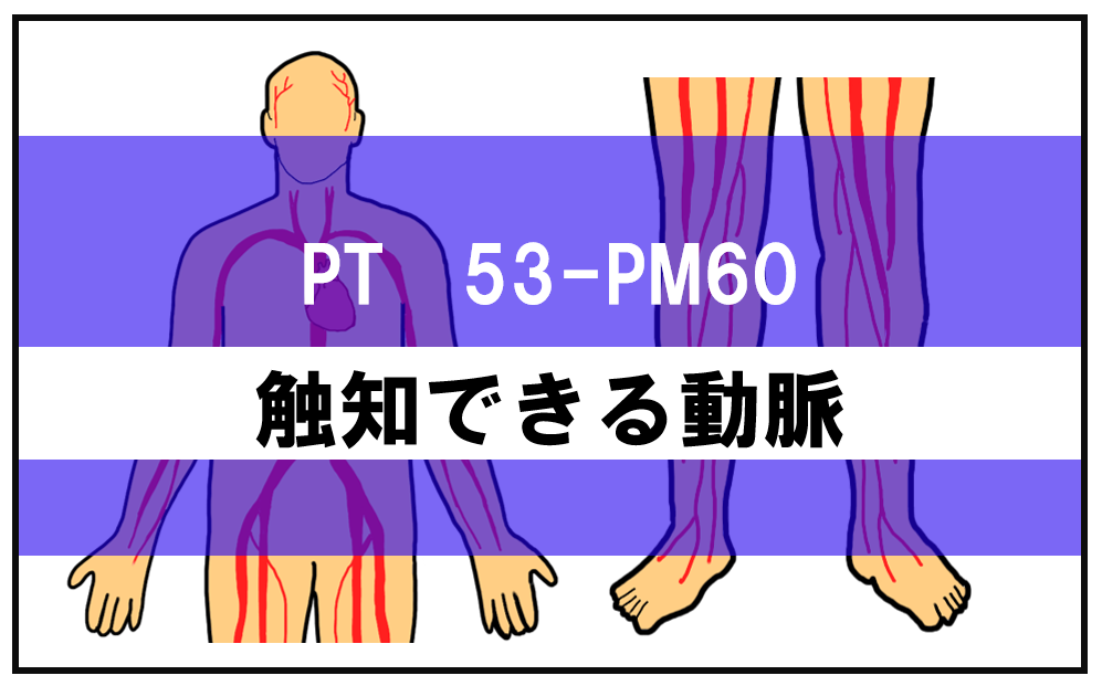 【動脈触知一覧】動脈と脈拍の触知部位との組合せで正しいのはどれか。【第53回理学療法士国家試験PM60】