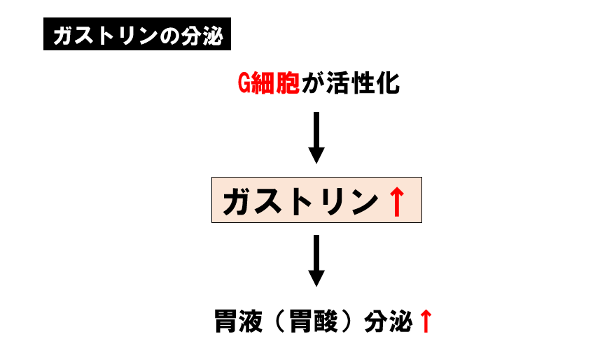 ガストリン